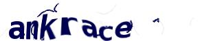 Captcha challenge image